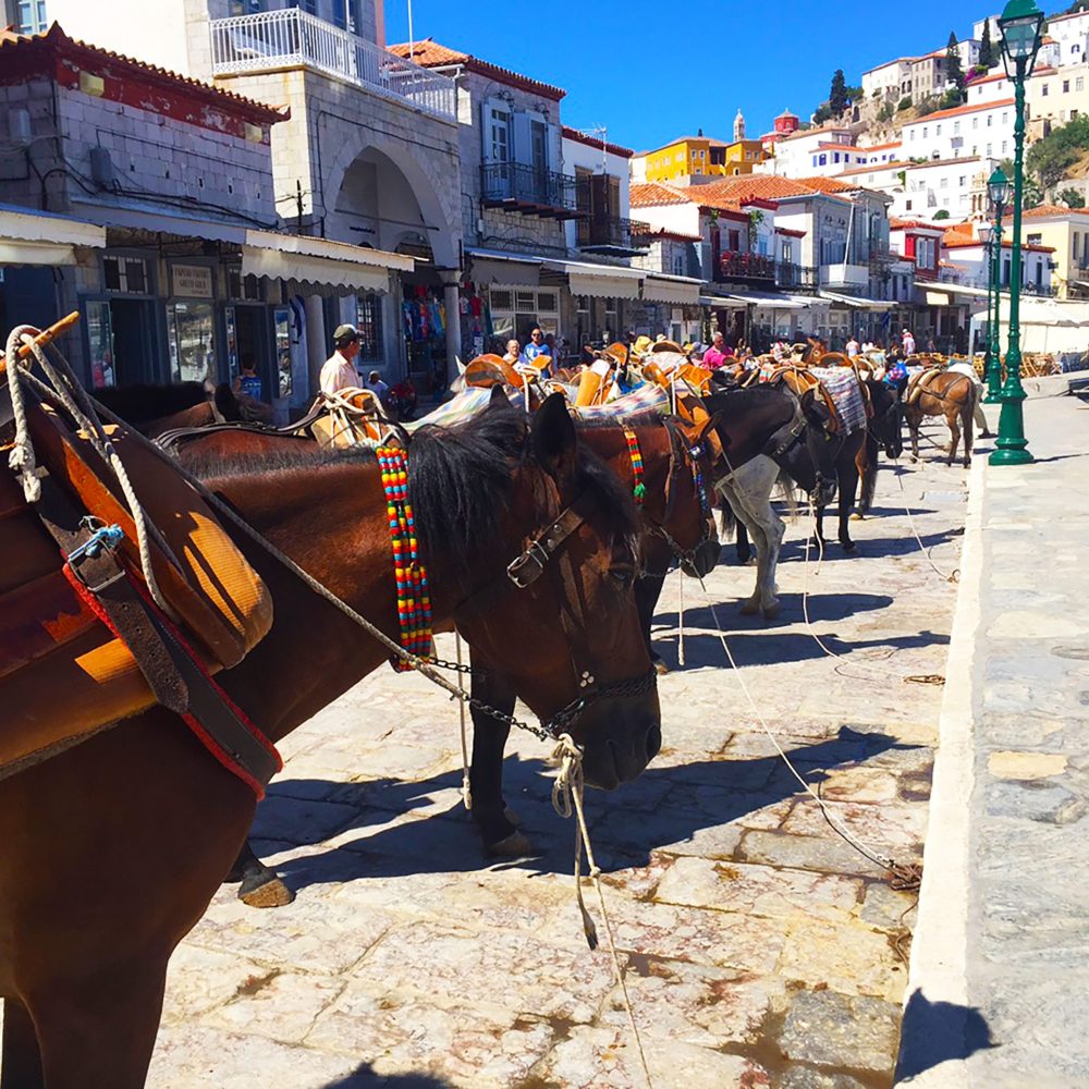 TEAM-BUILDING-HYDRA-GREECE-1 TEAM BUILDING HYDRA GREECE